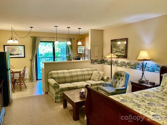160 Whitney Blvd Unit 55, Lake Lure, NC 28746