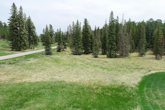 Lot 30A Alpine Cir, Lead, SD 57754