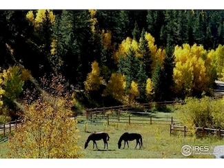 7127 Highway 72, Nederland, CO 80466
