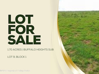 0 Lot 9 Block 1 Buffalo Heights Unit 25-968, Gladstone, ND 58630