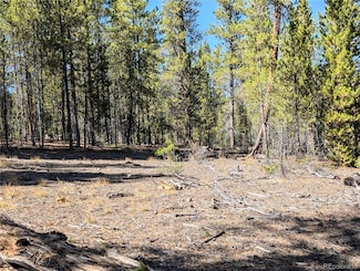 322 Juniper, Twin Lakes, CO 81251