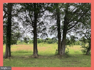 0 Longview Unit MDSM2025626, Bushwood, MD 20618