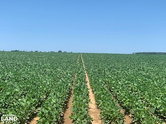 0 Louisiana 135, Mangham, LA 71259