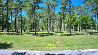 Lot # 28 Cannon Branch Rd, Cordele, GA 31015