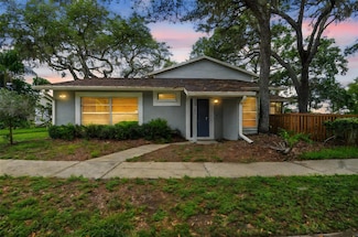 14732 Morning Dr, Lutz, FL 33559