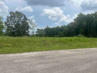 2438 Leo Woods Rd, Cedar Grove, TN 38321