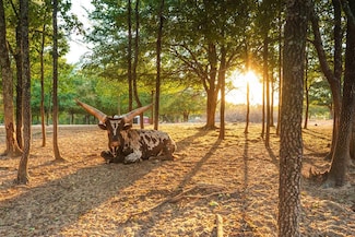 106082 N 3810 Rd, Okemah, OK 74859