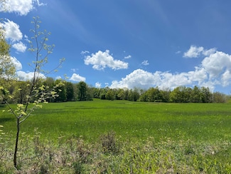 164 Ray Cottone Rd, Prattsville, NY 12468