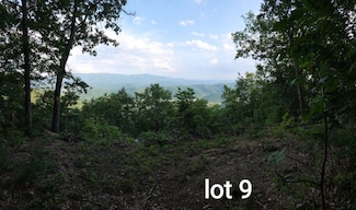3280 Reese Mountain Rd, Elliston, VA 24087