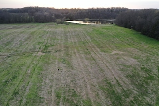 0 County Road 1265, Salt Springs Township, MO 65259