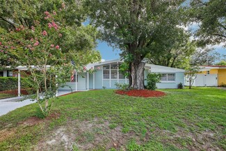 917 Lakewood Ave, Tampa, FL 33613