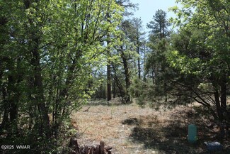 2450 N Whispering Trail, Show Low, AZ 85901