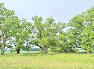 Tbd Hwy 9 Unit LotWP001, Marion, SC 29571