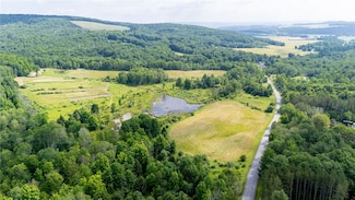 0 Scoville Rd, Dansville, NY 14437