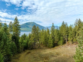 Lot 4 McKay Minor Rd, Noxon, MT 59853