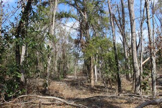 172 Pruitt Dr, Perry, FL 32348