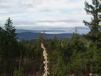 0 Buck Mount Unit 1277439, Orcas Island, WA 98245