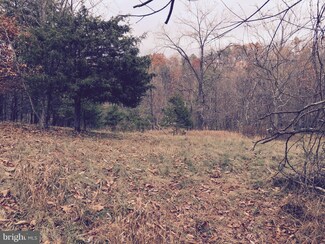 0 Logger Dr Unit 1004268777, Gore, VA 22637