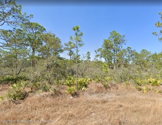 816 Neale St, Lake Placid, FL 33852