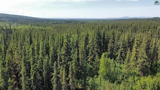 L16B1 NHN Edinburgh Ct, Fairbanks, AK 99712