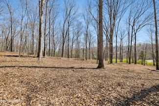 1300 Old Sugar Limb Rd, Loudon, TN 37774