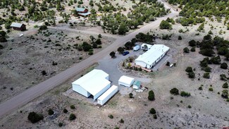 95 Hubbard Trail, South Fork, CO 81154