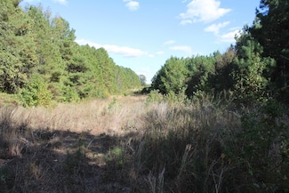 TBD Cr 1508 - 37 4 Acres, Jacksonville, TX 75766