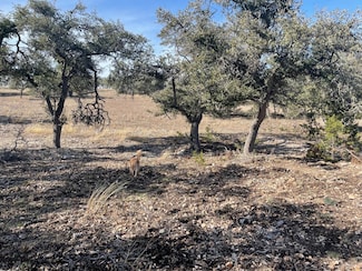 Lot 15 Avva Dr, Mountain Home, TX 78058