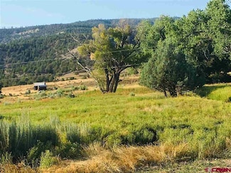 32651 County Road 500, Pagosa Springs, CO 81147