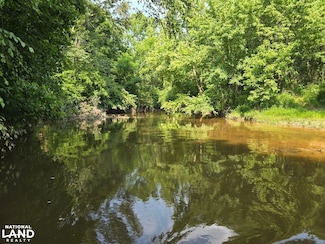 0 Deerwood Ln, Sycamore, AL 35149