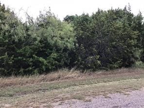 12015 Trailwood Dr, Whitney, TX 76692