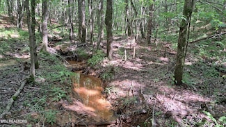 0 Airport Rd - Lot 1 (Pca), Rockwood, TN 37854