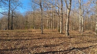 3 Collins Ln, Arcadia Township, MO 63650