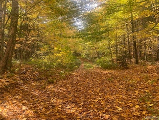 TBD Black River Rd, Ironwood, MI 49938