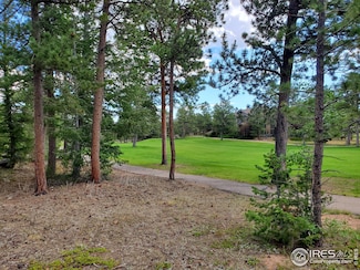 3021 Lake Arapahoe Ct, Red Feather Lakes, CO 80545