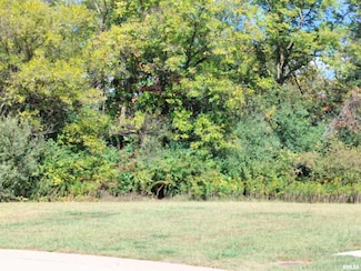 114 Smiley Ct, Washington, IL 61571