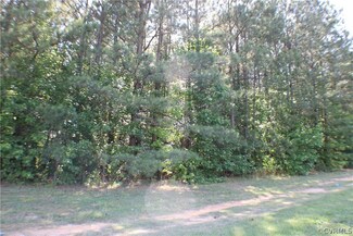 8809 River Rd, Ettrick, VA