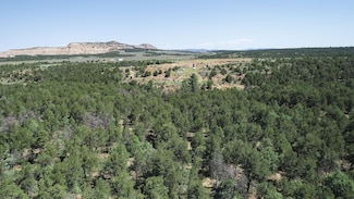 0 New Mexico 96, Regina, NM 87046