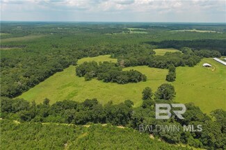 0 Circle R Farm Dr Unit 387121, Florala, AL 36442