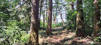 0 Loop Lot 1 Rd Unit NWM2132649, Centralia, WA 98531