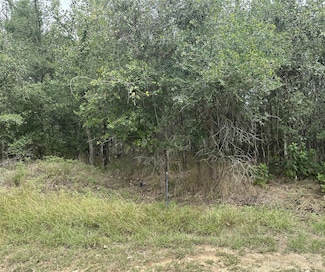 107 Halawa Ct, Bastrop, TX 78602