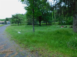 456 Bozenkill Rd, Altamont, NY 12009