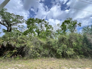 0 NE 349 Hwy, Old Town, FL 32680