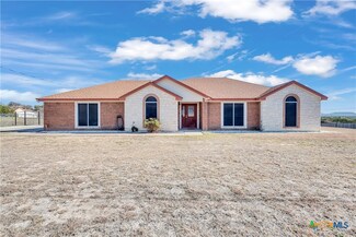 1461 Homestead, Kempner, TX 76539