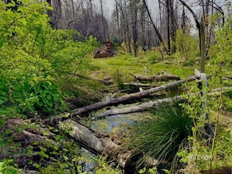 0 Hayfork Summit Unit 2112673, Junction City, CA 96048