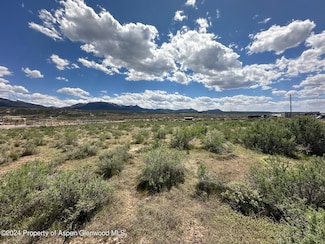 260 Buds Way, Parachute, CO 81635