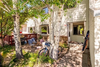 14 Redwood Ct, Steamboat Springs, CO 80487