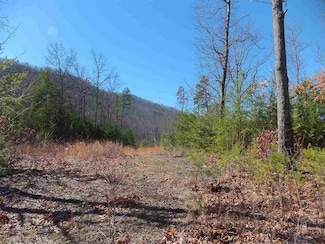 Appleview Way Unit Newport TN, Newport, TN 37821