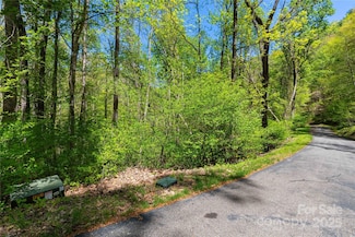 TBD Whispering Woods Path, Mars Hill, NC 28754