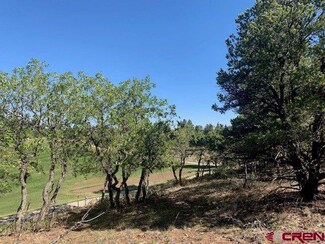 1775 Marmot Dr, Ridgway, CO 81432